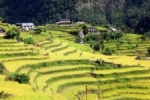 Nepal velden.jpg